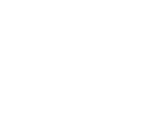 Schmieg Regnskab